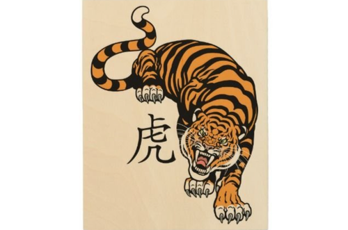 year of the tiger