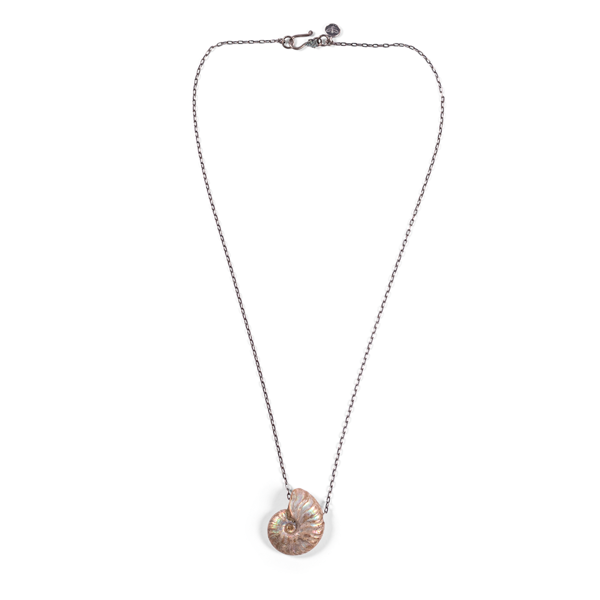 Small Ammonite Fossil Necklace